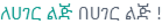 hahuLogoFooterIcon